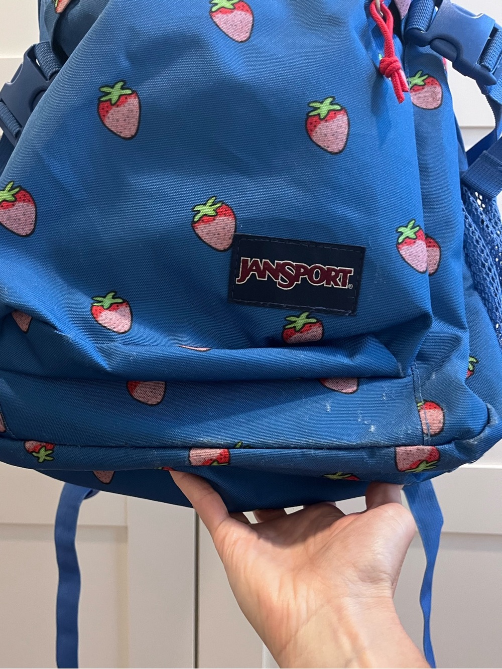 Jansport Strawberry Backpack - Picture 2 of 13